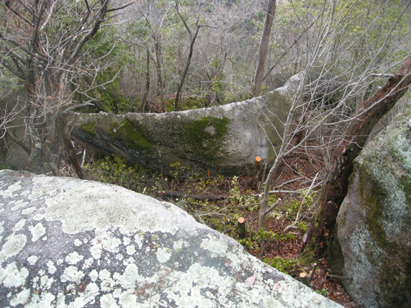舩岩神田宮の岩